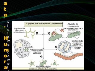•
S
i
s
t
e
m
a
c
o
m
p
l
a
t
a
-
H
u
m
o
r
a
 
