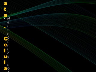 • N
e
u
t
r
ó
f
i
l
o
s
s
ã
a
t
a
-
C
e
l
u
l
a
 