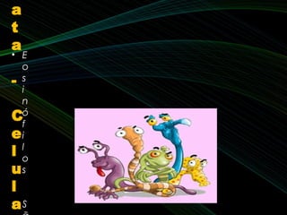 • E
o
s
i
n
ó
f
i
l
o
s
• S
a
t
a
-
C
e
l
u
l
a
 