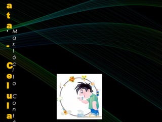 • M
a
s
t
ó
c
i
t
o
• C
o
n
t
a
t
a
-
C
e
l
u
l
a
 