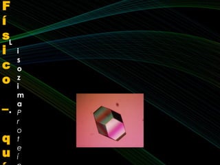 F
í
s
i
c
o
–
q
u
L
i
s
o
z
i
m
a
• P
r
o
t
e
í
 