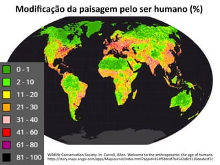 Modificação da paisagem pelo ser humano (%)
Wildlife Conservation Society. In: Carroll, Allen. Welcome to the anthropocene: the age of humans.
https://story.maps.arcgis.com/apps/MapJournal/index.html?appid=d14f53dcaf7b4542a8c9110eeabccf1c
 