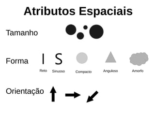 Atributos Espaciais
Tamanho
Forma
Compacto Anguloso Amorfo
SReto Sinuoso
Orientação
 