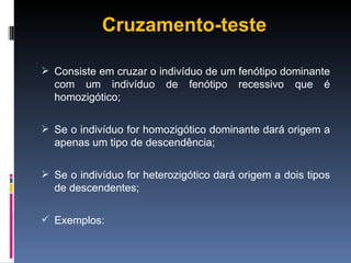 Cruzamento-teste Consiste em cruzar o indivíduo de um fenótipo dominante com um indivíduo de fenótipo recessivo que é homozigótico; Se o indivíduo for homozigótico dominante dará origem a apenas um tipo de descendência; Se o indivíduo for heterozigótico dará origem a dois tipos de descendentes; Exemplos: 