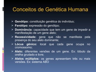 Conceitos de Genética Humana Genótipo:  constituição genética do indivíduo; Fenótipo:  expressão do genótipo; Dominância:  capacidade que tem um gene de impedir a manifestação de um gene alelo; Recessividade:  gene que não se manifesta pela presença do seu alelo dominante; Lócus gênico:  local que cada gene ocupa no cromossomo; Alelo:  diferentes versões de um gene. Ex: lóbulo da orelha grudado e livre; Alelos múltiplos:  os genes apresentam três ou mais versões. Ex: sistema ABO 