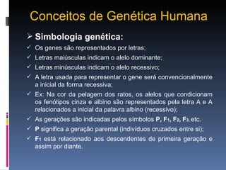 Conceitos de Genética Humana Simbologia genética: Os genes são representados por letras; Letras maiúsculas indicam o alelo dominante; Letras minúsculas indicam o alelo recessivo; A letra usada para representar o gene será convencionalmente a inicial da forma recessiva; Ex: Na cor da pelagem dos ratos, os alelos que condicionam os fenótipos cinza e albino são representados pela letra A e A relacionados a inicial da palavra albino (recessivo); As gerações são indicadas pelos símbolos  P, F 1 , F 2 , F 3,  etc. P  significa a geração parental (indivíduos cruzados entre si); F 1   está relacionado aos descendentes de primeira geração e assim por diante. 