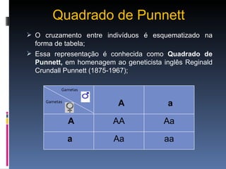 Quadrado de Punnett O cruzamento entre indivíduos é esquematizado na forma de tabela; Essa representação é conhecida como  Quadrado de Punnett,  em homenagem ao geneticista inglês Reginald Crundall Punnett (1875-1967); Gametas Gametas A a A AA Aa a Aa aa 