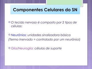 NeurônioNeurônio
 