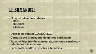 ▪Conjunto de enfermidades:
▪ PELE
▪ MUCOSAS
▪ VÍSCERAS
▪Doença de caráter ZOONÓTICO
▪Causada por protozoário do gênero Leishmania
▪Parasito Primário de: marsupiais, roedores, carnívoros,
edentados e insetívoros
▪Parasito Secundário de: cães e humanos
 