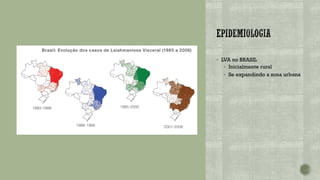 ▪ LVA no BRASIL
▪ Inicialmente rural
▪ Se expandindo a zona urbana
 