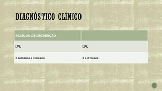 PERÍODO DE INCUBAÇÃO
LTA LVA
2 semanas a 3 meses 2 a 3 meses
 