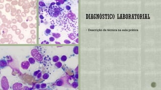 ▪ Descrição da técnica na aula prática
 