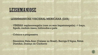▪LEISHMANIOSE VISCERAL MERICANA (LVA)
▪ VÍSERAS: esplenomegalia (com ou sem hepatomegalia) -> baço,
fígado, medula óssea, linfonodos e pele
▪ Crônica e progressiva
▪ Sinonímia: Kala-Azar (Calazar no Brasil), Barriga D’Agua, Febre
Dumdun, Doença do Cachorro
 