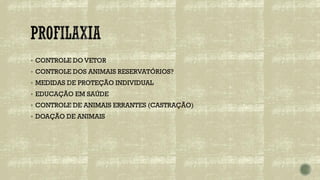 ▪ CONTROLE DO VETOR
▪ CONTROLE DOS ANIMAIS RESERVATÓRIOS?
▪ MEDIDAS DE PROTEÇÃO INDIVIDUAL
▪ EDUCAÇÃO EM SAÚDE
▪ CONTROLE DE ANIMAIS ERRANTES (CASTRAÇÃO)
▪ DOAÇÃO DE ANIMAIS
 