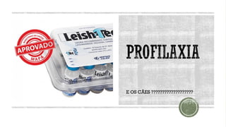 E OS CÃES ???????????????????
 