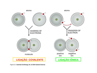LIGAÇÃO IÔNICA
LIGAÇÃO COVALENTE
 