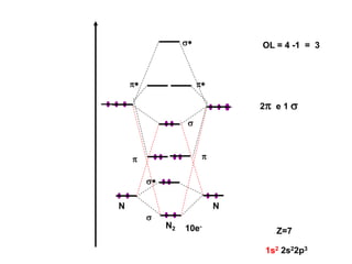 N2
N N
Z=7
1s2 2s22p3
10e-
s
s*
s
s*
pp
p*p*
OL = 4 -1 = 3
2p e 1 s
 