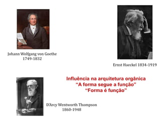 Johann Wolfgang von Goethe
1749-1832
Ernst Haeckel 1834-1919
D'Arcy Wentworth Thompson
1860-1948
Influência na arquitetura orgânica
“A forma segue a função”
“Forma é função”
 
