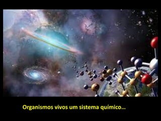 Organismos vivos um sistema químico…
 