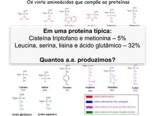 Em uma proteína típica:
Cisteína triptofano e metionina – 5%
Leucina, serina, lisina e ácido glutâmico – 32%
Quantos a.a. produzimos?
 