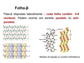 Folha-β
Fitas-β dispostas lateralmente – cada folha contêm 5-8
residuos. Podem ocorrer em sentido paralelo ou anti-
paralelo.
Bolsões de ligação ou núcleos hidrofóbicos
 