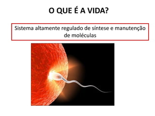 O QUE É A VIDA?
Sistema altamente regulado de síntese e manutenção
de moléculas
 
