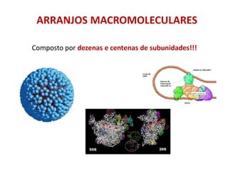 ARRANJOS MACROMOLECULARES
Composto por dezenas e centenas de subunidades!!!
 
