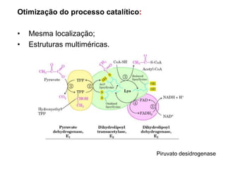 Otimização do processo catalítico:
• Mesma localização;
• Estruturas multiméricas.
Piruvato desidrogenase
 