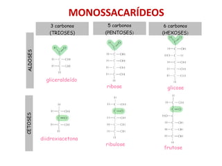 MONOSSACARÍDEOS
 