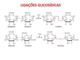 LIGAÇÕES GLICOSÍDICAS
 