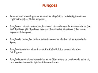 • Reserva nutricional: gorduras neutras (depósitos de triacilgliceróis ou
triglicerídeos) – células adiposas;
• Função estrutural: manutenção da estrutura da membranas celulares [ex:
fosfolipídeos, glicolipídeos, colesterol (animais), sitosterol (plantas) e
ergosterol (fungos)];
• Função de proteção: cutina, suberina e ceras são barreiras à perda de
água;
• Função vitamínica: vitaminas A, E e K são lipídios com atividades
fisiológicas;
• Função hormonal: os hormônios esteróides entre os quais os da adrenal,
ovário e testículo são lipídios informacionais.
FUNÇÕES
 