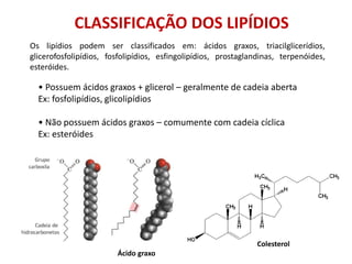 • Possuem ácidos graxos + glicerol – geralmente de cadeia aberta
Ex: fosfolipídios, glicolipídios
• Não possuem ácidos graxos – comumente com cadeia cíclica
Ex: esteróides
CLASSIFICAÇÃO DOS LIPÍDIOS
Ácido graxo
Colesterol
Os lipídios podem ser classificados em: ácidos graxos, triacilglicerídios,
glicerofosfolipídios, fosfolipídios, esfingolipídios, prostaglandinas, terpenóides,
esteróides.
 