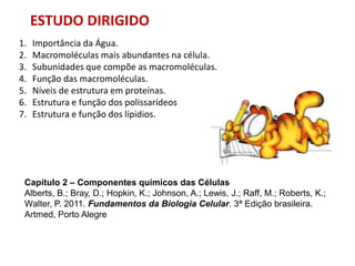 ESTUDO DIRIGIDO
1. Importância da Água.
2. Macromoléculas mais abundantes na célula.
3. Subunidades que compõe as macromoléculas.
4. Função das macromoléculas.
5. Níveis de estrutura em proteínas.
6. Estrutura e função dos polissarídeos
7. Estrutura e função dos lípidios.
Capítulo 2 – Componentes químicos das Células
Alberts, B.; Bray, D.; Hopkin, K.; Johnson, A.; Lewis, J.; Raff, M.; Roberts, K.;
Walter, P. 2011. Fundamentos da Biologia Celular. 3ª Edição brasileira.
Artmed, Porto Alegre
 