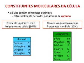 CONSTITUINTES MOLECULARES DA CÉLULA
• Células contém compostos orgânicos
- Estruturalmente definidos por átomos de carbono
Elementos químicos mais
frequentes na célula (90%):
Elementos químicos menos
frequentes na célula (10%):
 
