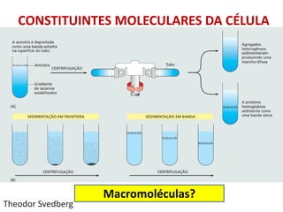 CONSTITUINTES MOLECULARES DA CÉLULA
• Moléculas de alto peso
Macromoléculas?
Theodor Svedberg
 
