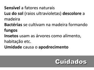 Sensível a fatores naturais
Luz do sol (raios ultravioletas) descolore a
madeira
Bactérias se cultivam na madeira formando
fungos
Insetos usam as árvores como alimento,
habitação etc.
Umidade causa o apodrecimento


                          Cuidados
 