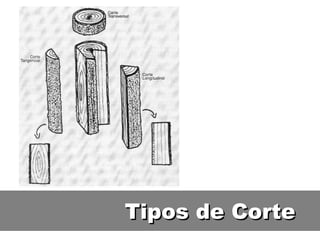 Tipos de Corte
 