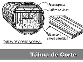 Tábua de Corte
 