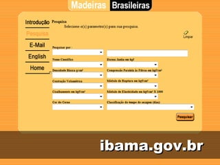 ibama.gov.br
 
