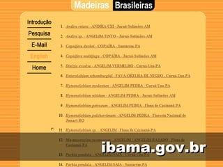 ibama.gov.br
 
