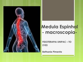 Medula Espinhal 
- macroscopia- 
FISIOTERAPIA UNIPAC – TO 
2103 
Bethania Pimenta 
 