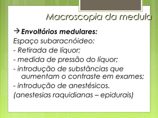 MMaaccrroossccooppiiaa ddaa mmeedduullaa 
Envoltórios medulares: 
Espaço subaracnóideo: 
- Retirada de líquor; 
- medida de pressão do líquor; 
- introdução de substâncias que 
aumentam o contraste em exames; 
- introdução de anestésicos. 
(anestesias raquidianas – epidurais) 
 
