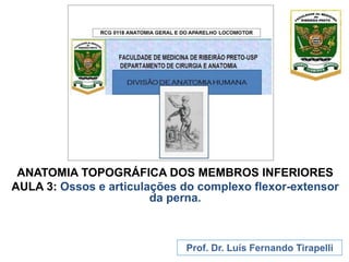 ANATOMIA TOPOGRÁFICA DOS MEMBROS INFERIORES
AULA 3: Ossos e articulações do complexo flexor-extensor
da perna.
Prof. Dr. Luís Fernando Tirapelli
 