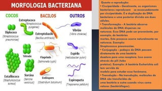 Quanto a reprodução:
• Cissiparidade - Geralmente, os organismos
bacterianos reproduzem se assexuadamente
por cissiparidade. É a duplicação do DNA
bacteriano e uma posterior divisão em duas
células.
• Transformação - A bactéria absorve
moléculas de DNA dispersas na
natureza. Esse DNA pode ser proveniente, por
exemplo, de bactérias
mortas. Este processo ocorre naturalmente na
natureza. Exemplo:
Streptococcus pneumoniae.
• Conjugação - pedaços de DNA passam
diretamente de uma bactéria
doadora para uma receptora. Isso ocorre
através do pili (tubo
proteico). Exemplo: A bactéria Escherichia coli
tem servido de
modelo para estudar esse fenômeno.
• Transdução - Na transdução, moléculas de
DNA são transferidas de
uma bactéria a outra usando vírus como
vetores (bactériófagos).
 