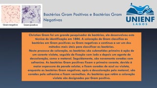 Bactérias Gram Positivas e Bactérias Gram
Negativas
Christian Gram foi um grande pesquisador de bactérias, ele desenvolveu esta
técnica de identificação em 1884. A coloração de Gram classifica as
bactérias em Gram positivas ou Gram negativas e continua a ser um dos
métodos mais úteis para classificar as bactérias.
Neste processo de coloração, as bactérias são submetidas primeiro à ação de
um corante violeta, seguido de fixação com iodo e depois um agente de
descoloração, como o metanol. Seguidamente, são novamente coradas com
safranina. As bactérias Gram positivas fixam o primeiro corante, devido à
maior espessura da parede celular, e ficam coradas de azul ou violeta,
enquanto as bactérias Gram negativas, após a descoloração pelo metanol, são
coradas pela safranina e ficam vermelhas. As bactérias que retêm a coloração
violeta são designadas por Gram positivo.
 