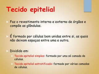 Tecido epitelial
 Faz o revestimento interno e externo de órgãos e
compõe as glândulas.
 É formado por células bem unidas entre si, as quais
não deixam espaços entre uma e outra.
 Dividido em:
 Tecido epitelial simples: formado por uma só camada de
células.
 Tecido epitelial estratificado: formado por várias camadas
de células.
 