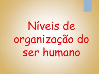 Níveis de
organização do
ser humano
 