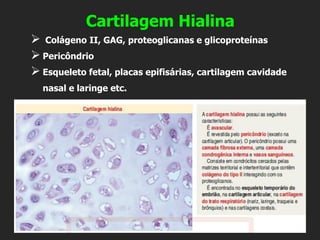 Cartilagem Hialina
➢ Colágeno II, GAG, proteoglicanas e glicoproteínas
➢ Pericôndrio
➢ Esqueleto fetal, placas epifisárias, cartilagem cavidade
nasal e laringe etc.
 
