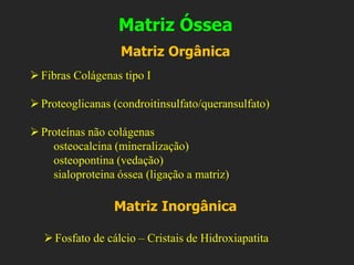 Matriz Óssea
➢Fibras Colágenas tipo I
➢Proteoglicanas (condroitinsulfato/queransulfato)
➢Proteínas não colágenas
osteocalcina (mineralização)
osteopontina (vedação)
sialoproteina óssea (ligação a matriz)
➢Fosfato de cálcio – Cristais de Hidroxiapatita
Matriz Orgânica
Matriz Inorgânica
 
