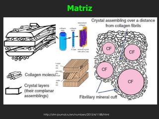 Matriz
http://stm-journal.ru/en/numbers/2015/4/1188/html
 